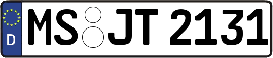 MS-JT2131