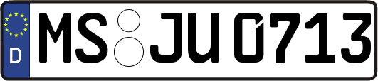 MS-JU0713