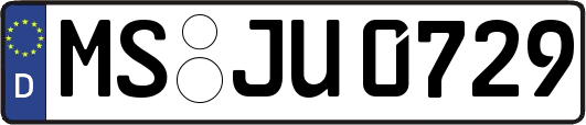 MS-JU0729