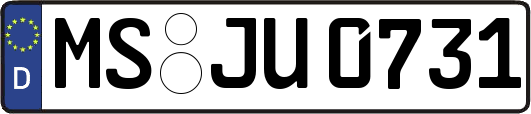MS-JU0731