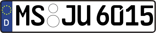 MS-JU6015