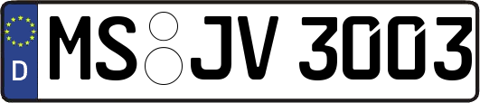MS-JV3003