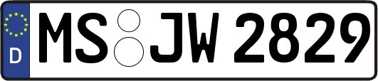 MS-JW2829