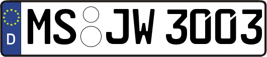 MS-JW3003