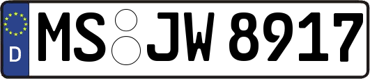 MS-JW8917