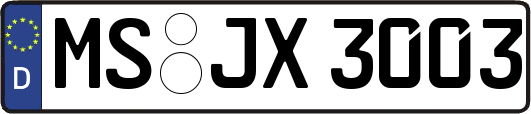 MS-JX3003