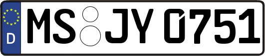 MS-JY0751