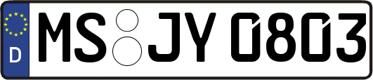 MS-JY0803