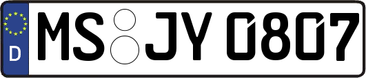 MS-JY0807
