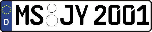 MS-JY2001
