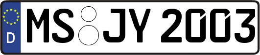MS-JY2003