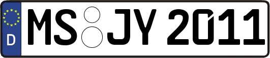 MS-JY2011