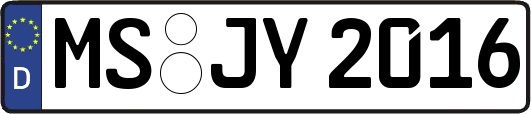 MS-JY2016