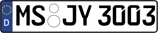 MS-JY3003