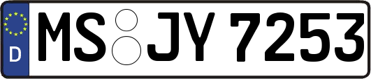 MS-JY7253