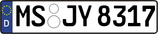 MS-JY8317
