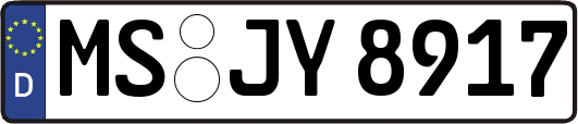 MS-JY8917