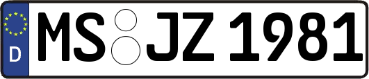 MS-JZ1981