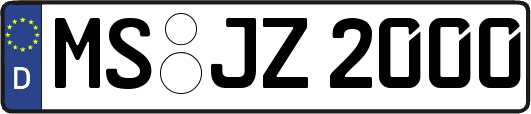 MS-JZ2000