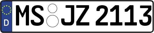 MS-JZ2113