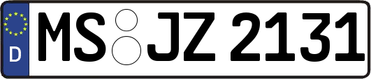 MS-JZ2131