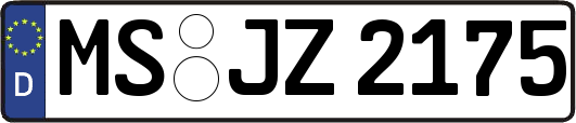 MS-JZ2175
