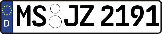 MS-JZ2191