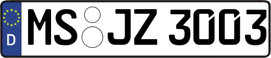 MS-JZ3003