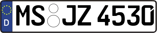 MS-JZ4530