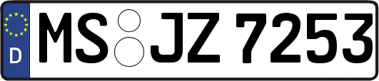 MS-JZ7253