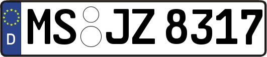MS-JZ8317