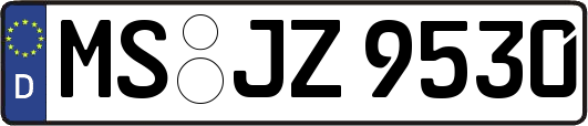 MS-JZ9530