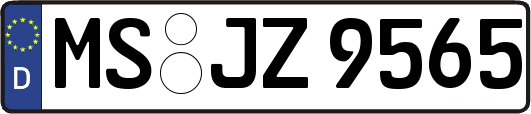 MS-JZ9565