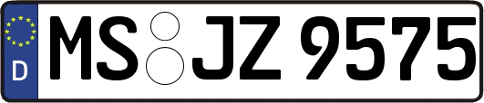MS-JZ9575