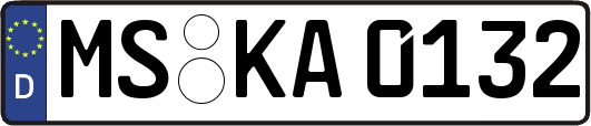 MS-KA0132