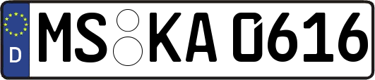 MS-KA0616