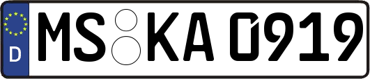 MS-KA0919