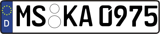 MS-KA0975