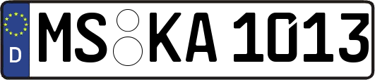 MS-KA1013