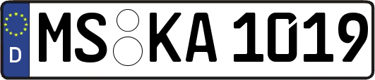 MS-KA1019
