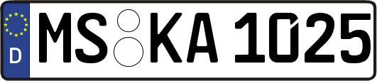 MS-KA1025