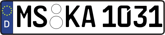 MS-KA1031