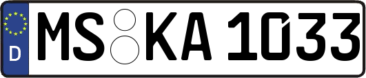 MS-KA1033