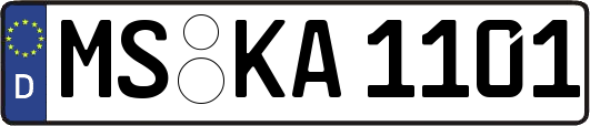 MS-KA1101