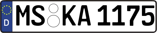 MS-KA1175