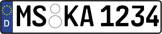 MS-KA1234