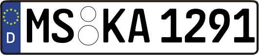 MS-KA1291