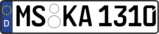 MS-KA1310