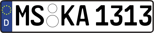 MS-KA1313
