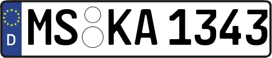 MS-KA1343